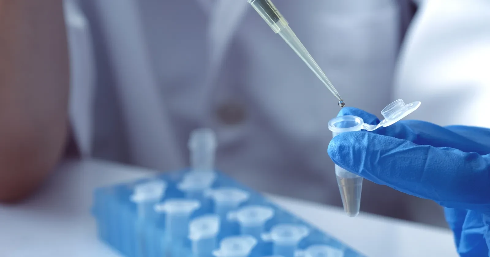 A researcher uses a pipette to transfer liquid into a PCR tube.