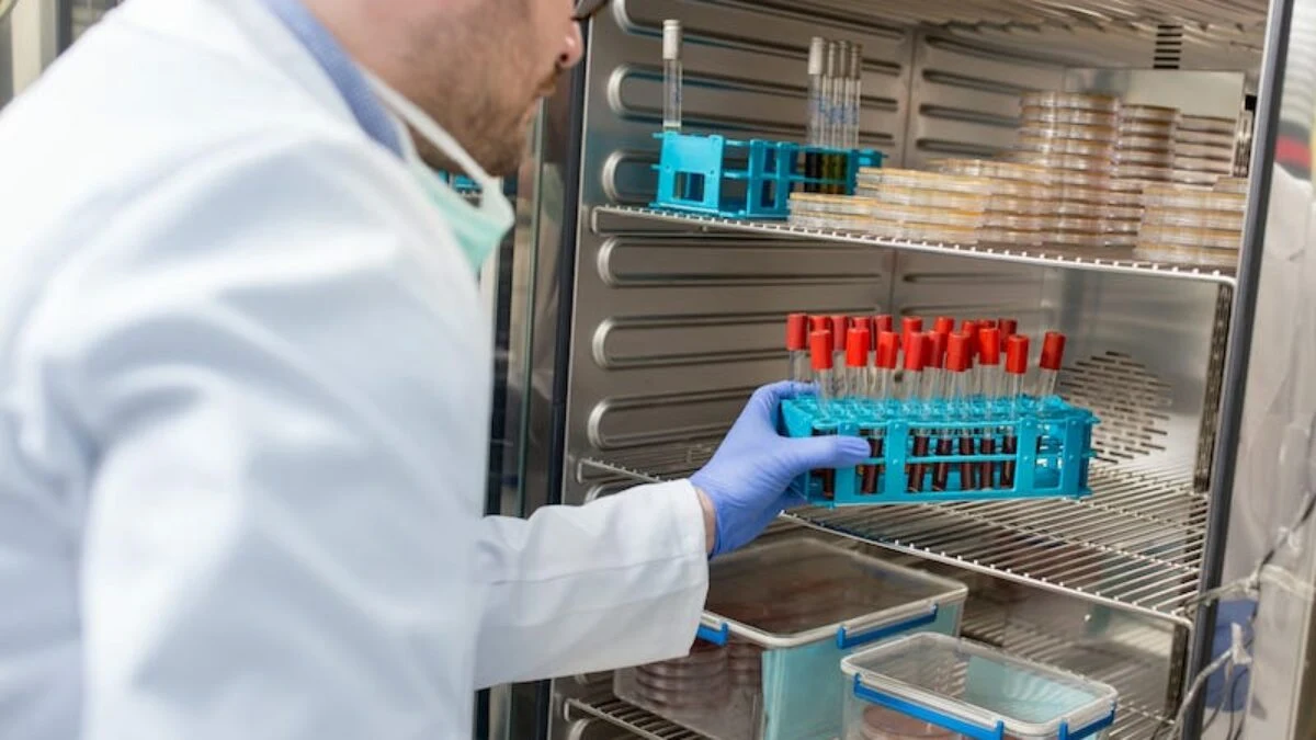 A researcher places a rack of sample tubes into a laboratory incubator.